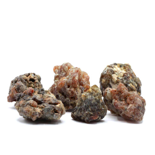 Copal schwarz negro