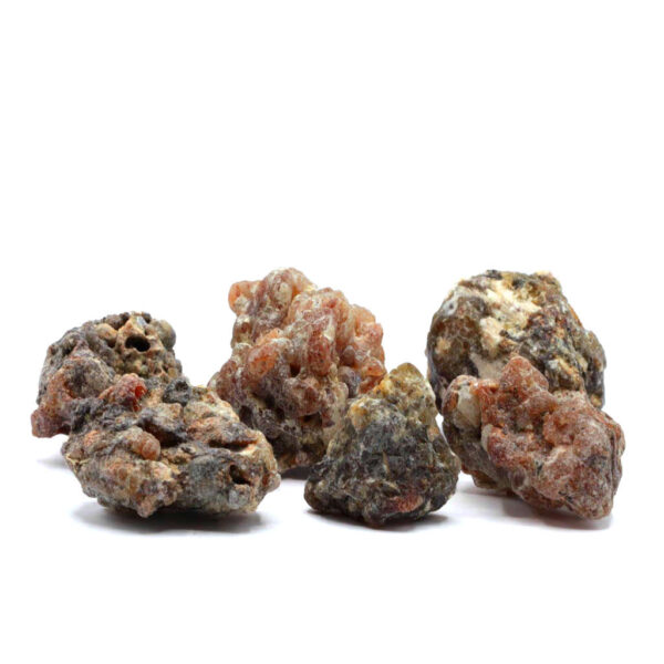 Copal schwarz negro