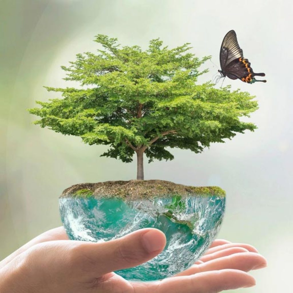 Fair zu Mensch und Natur