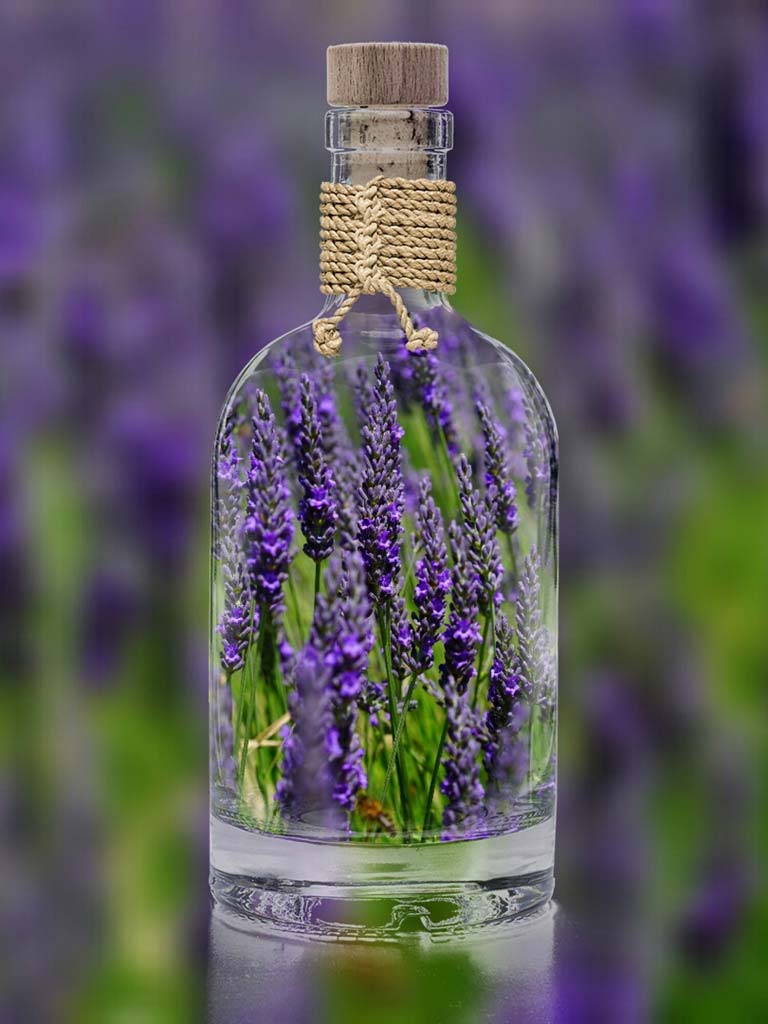 Lavendel-in-der-Flasche