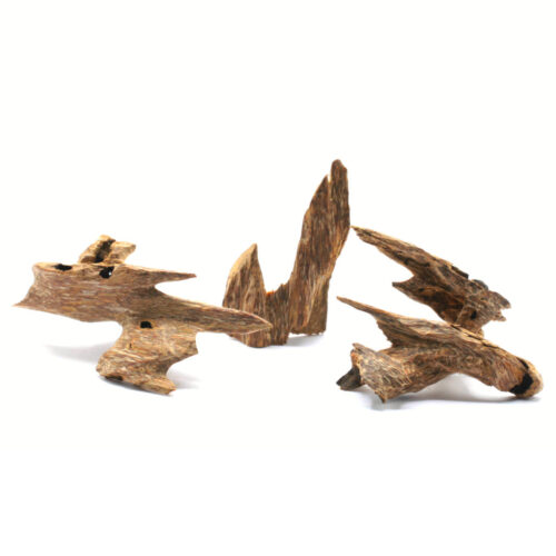 Vietnam wild Oud Adlerholz