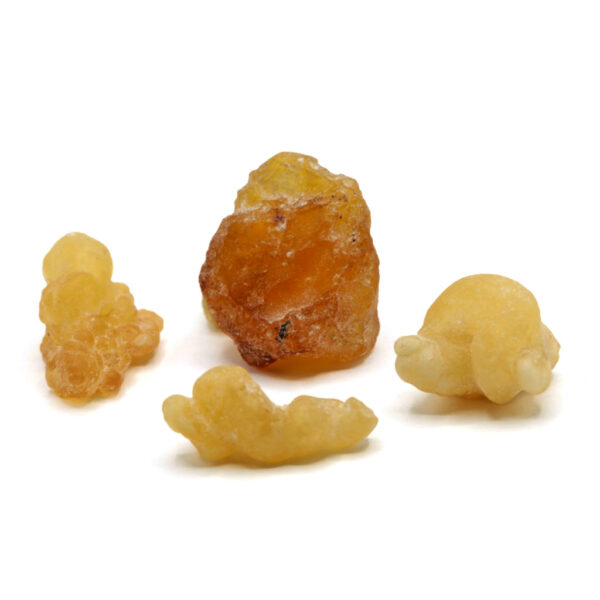 Weihrauch Boswellia papyrifera Äthiopien nah_