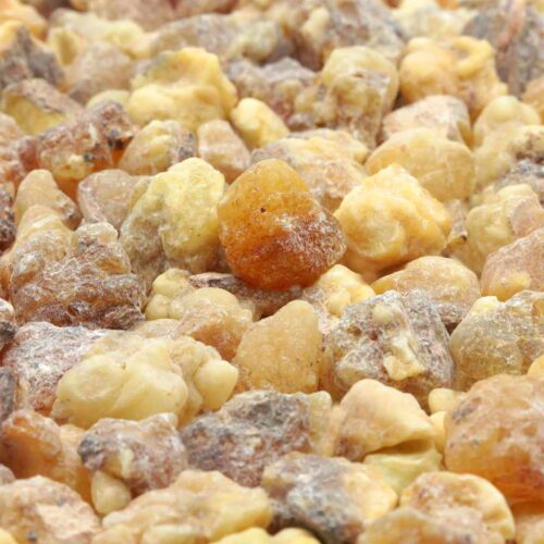 Weihrauch Boswellia papyrifera Sudan_
