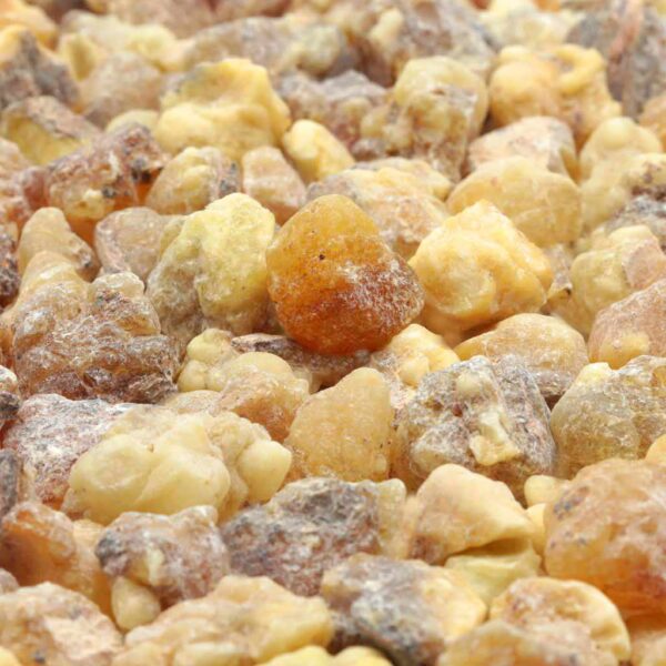 Weihrauch Boswellia papyrifera Sudan_