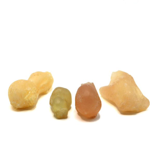 Weihrauch Indien Boswellia Serrata nah_