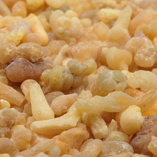 Weihrauch Indien Boswellia Serrata_