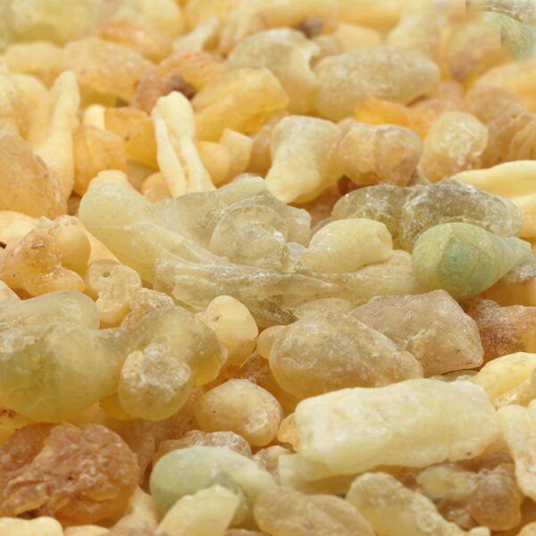 Weihrauch Nigeria Boswellia Dalzielii
