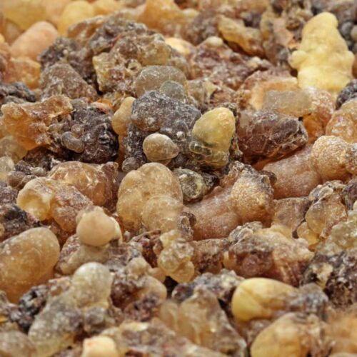 Weihrauch Oman Hojari Boswellia Sacra Amber Braun