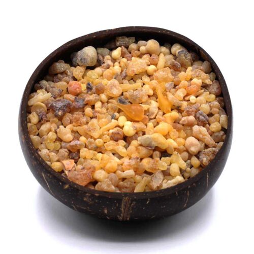 Weihrauch Oman Hojari Boswellia sacra Bruch_