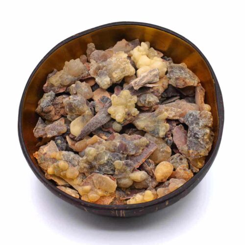 Weihrauch Oman Hojari Boswellia sacra Rinde_