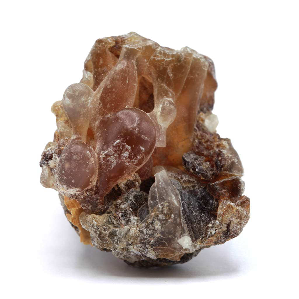 Weihrauch Oman Hojari Boswellia sacra Shaabi nah