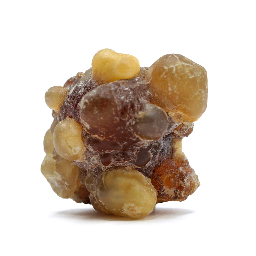 Weihrauch Oman Hojari Boswellia sacra amber nah_
