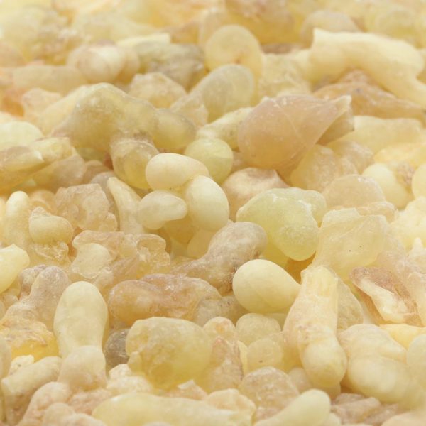 Weihrauch Somali Boswellia carterii Weiss