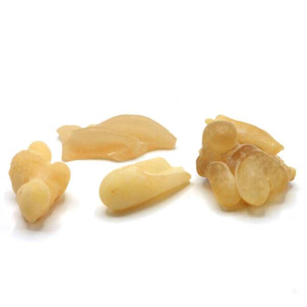 Weihrauch-Somali Deluxe Boswellia carterii nah