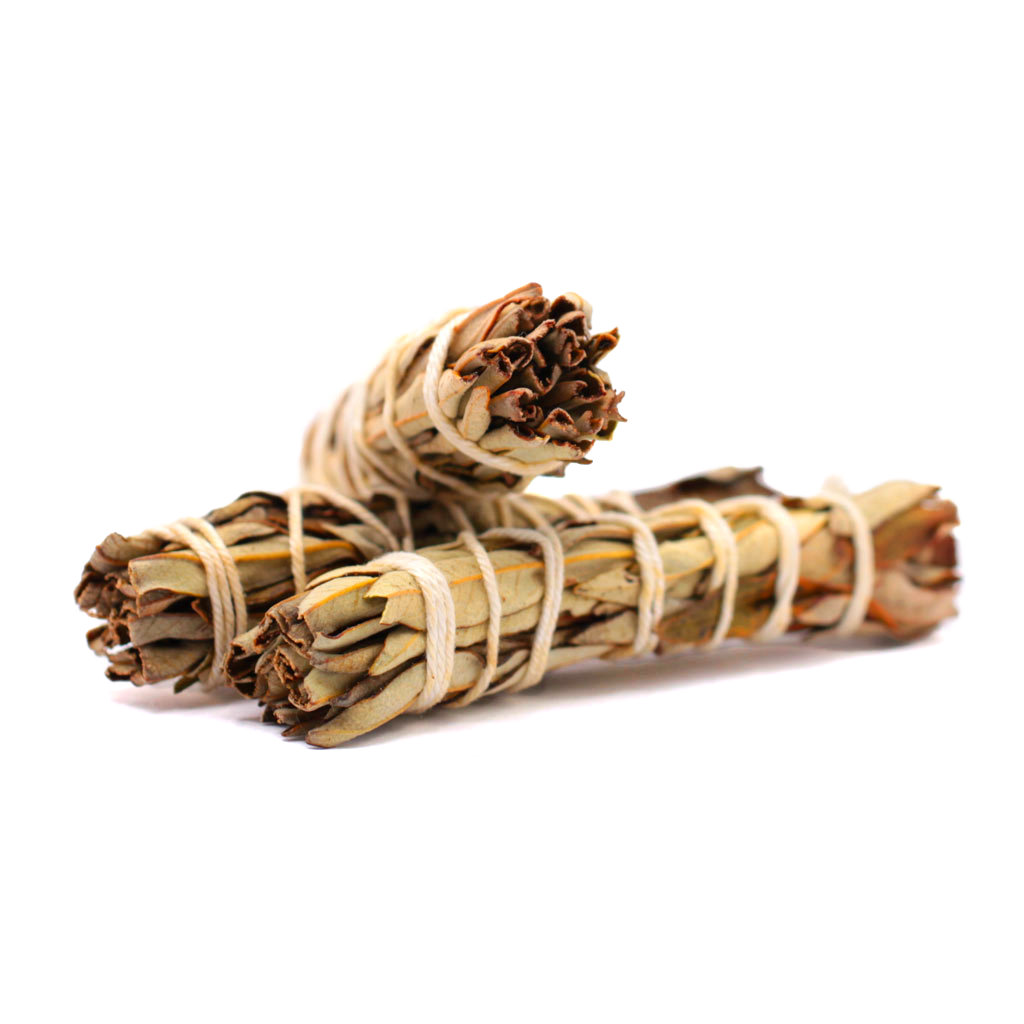 Zistrosen Räucherstick